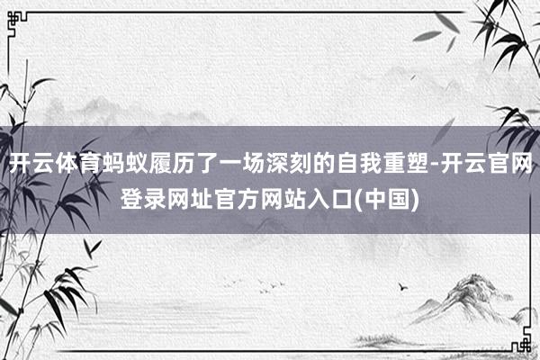 开云体育蚂蚁履历了一场深刻的自我重塑-开云官网登录网址官方网站入口(中国)