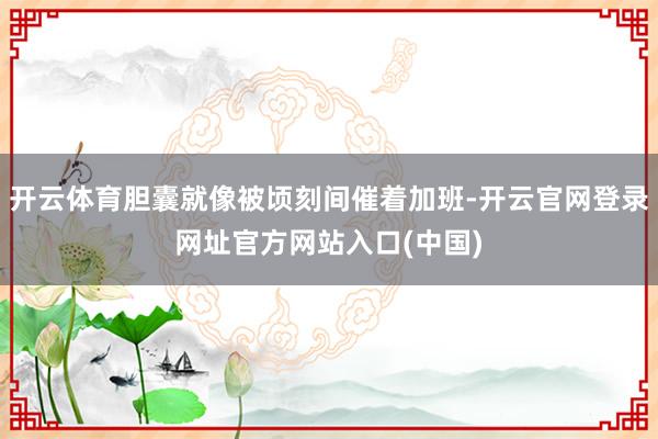 开云体育胆囊就像被顷刻间催着加班-开云官网登录网址官方网站入口(中国)