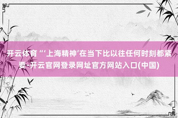 开云体育“‘上海精神’在当下比以往任何时刻都紧要-开云官网登录网址官方网站入口(中国)