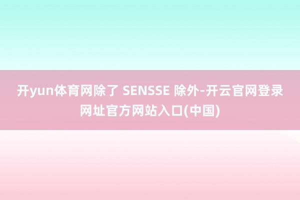 开yun体育网除了 SENSSE 除外-开云官网登录网址官方网站入口(中国)